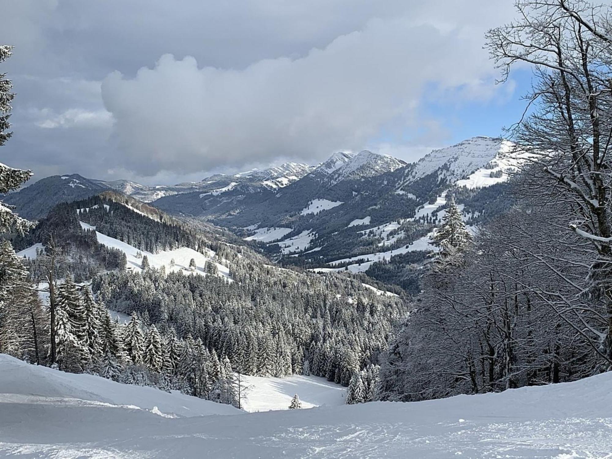 Appartement Nr 19, Alpenappartementhaus, Oberstaufen-Steibis, Allgaeu, Oberstaufen Plus ภายนอก รูปภาพ