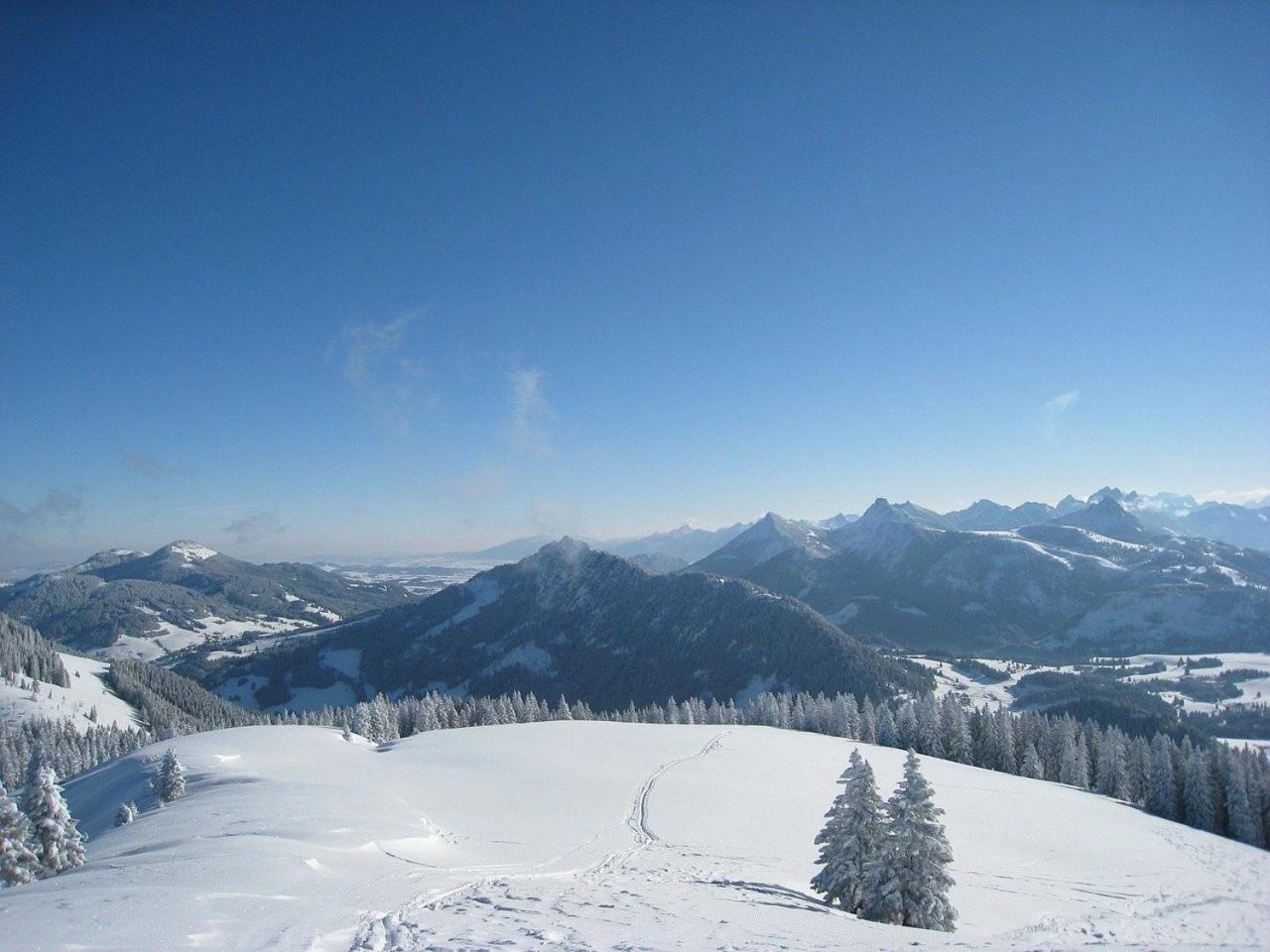 Appartement Nr 19, Alpenappartementhaus, Oberstaufen-Steibis, Allgaeu, Oberstaufen Plus ภายนอก รูปภาพ